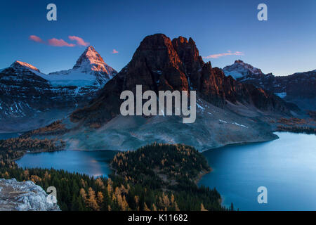 Mount Assiniboine aboe Sunburst See und Cerrulean See bei Sonnenuntergang inmitten fallen Lärchen, Mount Assiniboine Provincial Park, Rocky Mountains, British Col Stockfoto