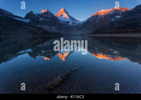 Mount Assiniboine reflektiert in Lage Magog bei Sonnenaufgang, Mount Assiniboine Provincial Park, Rocky Mountains, British Columbia, Kanada. Stockfoto