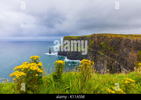 Die Klippen von Moher befinden sich am südwestlichen Rand der Region Burren im County Clare, Irland. Steigen Sie 120 Meter (390 ft) über dem Atlant Stockfoto