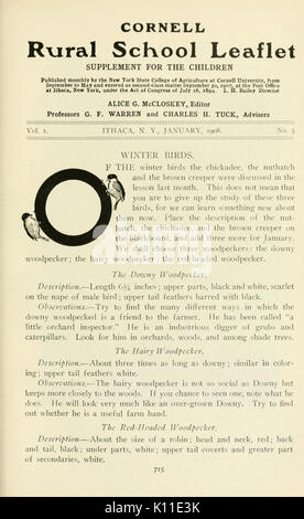 Jahresbericht der Cornell Universität landwirtschaftliche Experiment Station, Ithaca, N.Y (Seite 715) BHL 5419002 Stockfoto