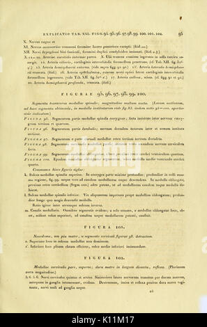 Anatome testudinis Europaeae (Seite 95) BHL 2969537 Stockfoto