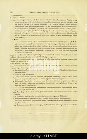 Anatome testudinis Europaeae (Seite 148) BHL 2969590 Stockfoto