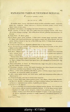 Anatome testudinis Europaeae (Seite 149) BHL 2969591 Stockfoto