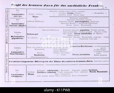 Bericht der Naturforschenden Gesellschaft zu Bamberg BHL 11399966 Stockfoto