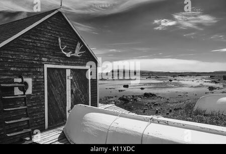 Elch Geweihe auf holz Hütte im Water's Edge Gemeinschaft an der Spitze der nördlichen Halbinsel, Neufundland, Kanada Stockfoto