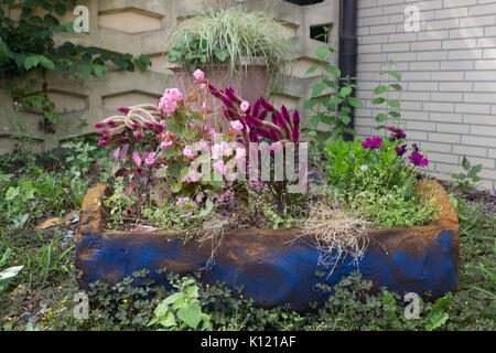Eine hölzerne Blumenkasten mit verschiedenen blühenden Pflanzen im Garten. Stockfoto