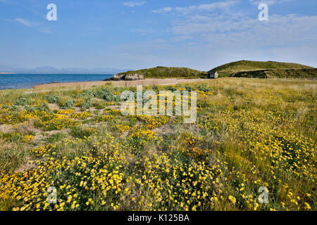 Llanddwyn Island; Anglesey, Wales, UK Stockfoto