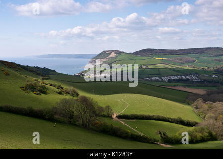 Blick über die sanften Hügel entlang der Jurassic Coast in Richtung goldene Kappe von Thornecombe Leuchtturm in der Nähe von Bridport in Dorset, England Stockfoto