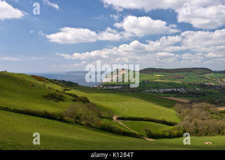 Blick über die sanften Hügel entlang der Jurassic Coast in Richtung goldene Kappe von Thornecombe Leuchtturm in der Nähe von Bridport in Dorset, England Stockfoto