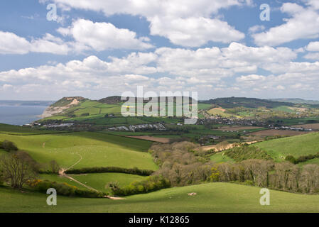 Blick über die sanften Hügel entlang der Jurassic Coast in Richtung goldene Kappe von Thornecombe Leuchtturm in der Nähe von Bridport in Dorset, England Stockfoto