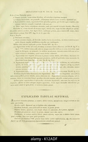 Anatome testudinis Europaeae (Seite 15) BHL 3271393 Stockfoto