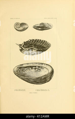 Kunst in der Schale der alten Amerikaner BHL 11258640 Stockfoto