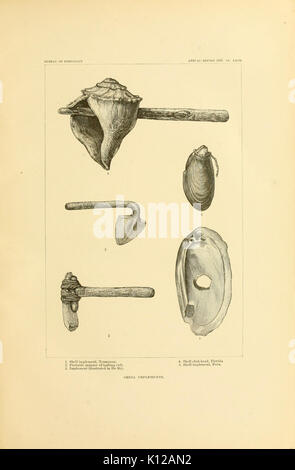 Kunst in der Schale der alten Amerikaner BHL 11258622 Stockfoto
