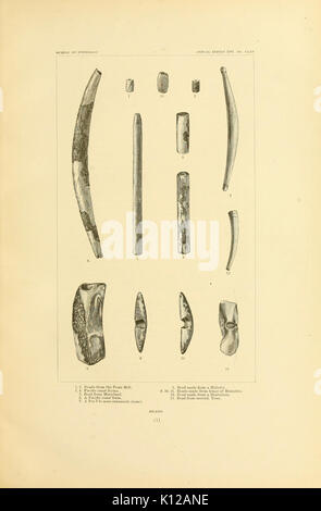 Kunst in der Schale der alten Amerikaner BHL 11258679 Stockfoto