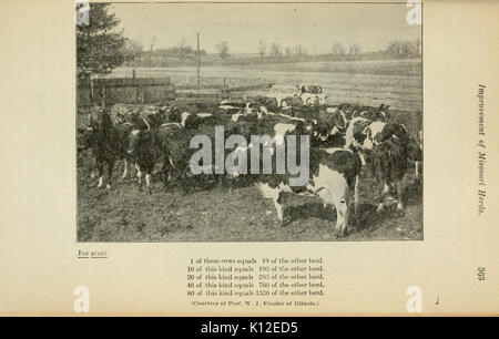 Jahresbericht der Missouri State Board der Landwirtschaft (Seite 363) BHL 4883838 Stockfoto