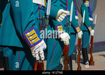 Soldaten in Parade Uniform mit Gewehren Stockfoto