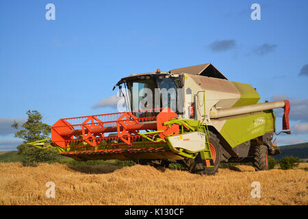 Claas Tucano 430 Mähdrescher Stockfoto