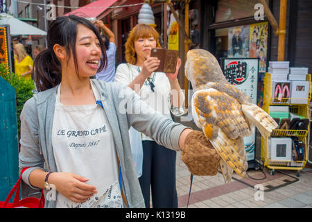 Tokio, Japan, 28. Juni - 2017: Schöne Eule über einer Frau Handgelenk in der Straße in Akihabara Owl Cafe posing - Eulen sind sehr beliebte Haustiere in Japan Stockfoto