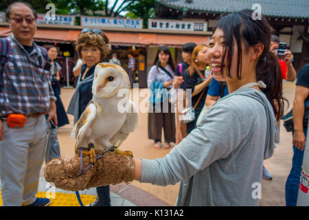 Tokio, Japan, 28. Juni - 2017: Schöne Eule über einer Frau Handgelenk in der Straße in Akihabara Owl Cafe posing - Eulen sind sehr beliebte Haustiere in Japan Stockfoto