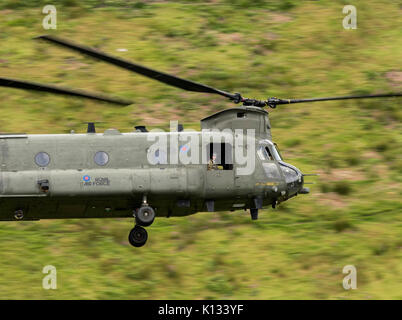 RAF Chinook ZA710 auf einer niedrigen Ebene Ausbildung Flug in die Mach Loop, Niedrig fliegende Bereich 7, Stockfoto