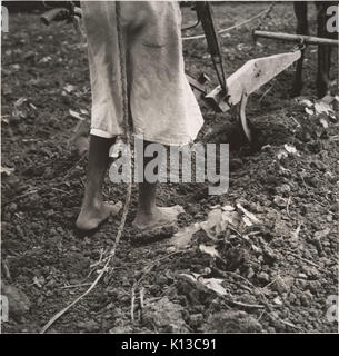 Alabama Pflug Mädchen, in der Nähe von Eutaw, Alabama MET DP 212790 Stockfoto