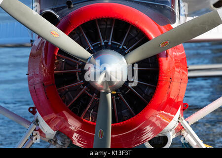 Vintage de Havilland Beaver floatplanes moored at Vancouver Harbour Flight Center, British Columbia, Kanada. Stockfoto