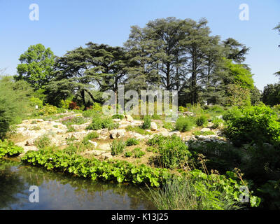 Alpinen Garten Jardin botanique de Lyon DSC 05312 Stockfoto