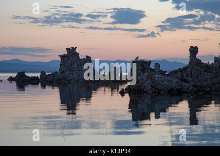 Sonnenaufgang über TUFAS am Mono Lake Tuffstein State Reserve Shoreline. Stockfoto