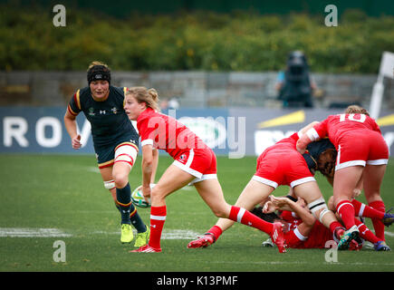 Belfast, Nordirland - 22. August 2017 - Kanada Triumph 52 - 0 über Wales in der Womans Rugby World Cup Play-offs. Photo Credit: Graham Service Stockfoto