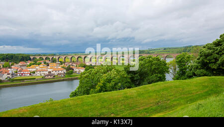 Royal Border Bridge, denkmalgeschützten Eisenbahnviadukt crossing River Tweed in Berwick-upon-Tweed mit Häusern im Vordergrund & Emerald Felder jenseits Stockfoto