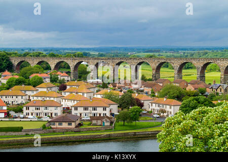 Royal Border Bridge, denkmalgeschützten Eisenbahnviadukt crossing River Tweed in Berwick-upon-Tweed mit Häusern im Vordergrund & Emerald Felder jenseits Stockfoto