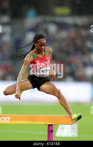 Beatrice CHEPKOECH (Kenia) in der Frauen 3000 m Hindernis 2 am 2017 konkurrieren, IAAF Weltmeisterschaften, Queen Elizabeth Olympic Park, Stratford, London, UK. Stockfoto