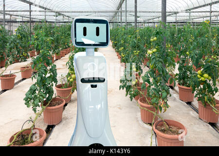 Smart Landwirtschaft, Robotik Trends Technologie- und Robo advisor Konzept. Robot Assistant im smart Farm. Stockfoto