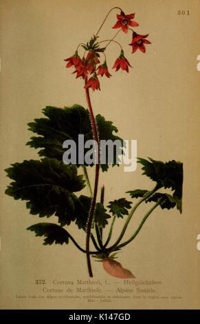 Atlas de la Flora alpine (PL. 332) (6389265323) Stockfoto