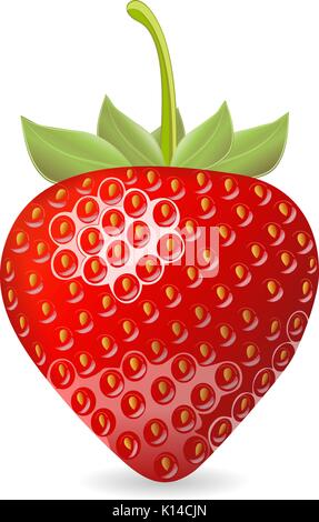 Erdbeere. Vector Illustration Stock Vektor