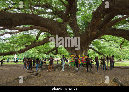 KANCHANABURI, THAILAND - 24. Juni: Giant Monky Pod Baum mit Menschen besuchten am 24. Juni 2017 in Kanchanaburi, Thailand Stockfoto