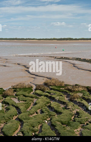 Blick über das Wattenmeer im Fluss Ax Mündung in Somerset England in der Nähe von Brean unten an einem sonnigen Frühlingstag Stockfoto