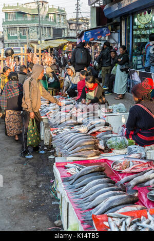 Frische Fische zum Verkauf in Street, Shillong, Meghalaya, Indien Stockfoto