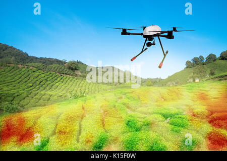 Intelligente Landwirtschaft, Bauernhof, Präzision Landwirtschaft Konzept. Drohne und NIR Bilder Anwendungsbildschirm zur Erstellung der Bereich Gesundheit Karten für normalisieren differenc Stockfoto