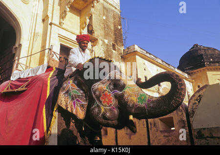 Geschmückten Elefanten im Amber (Amer) Fort, Jaipur, Rajasthan, Indien Stockfoto