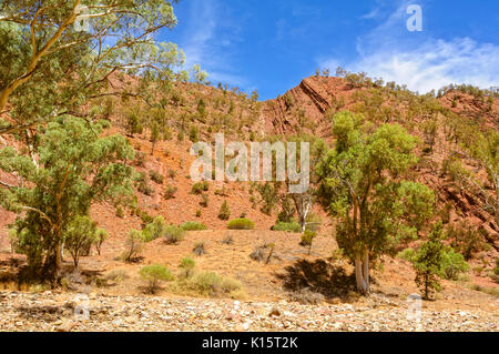 Brachina Gorge in Wilpena Pound - Flinders Ranges, SA, Australien Stockfoto