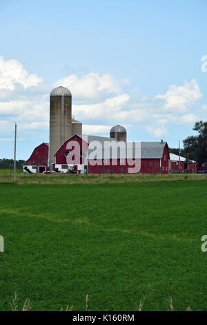 Der Kuhstall in einem Milchviehbetrieb in der nordöstlichen Wisconsin Stadt von Dänemark. Stockfoto