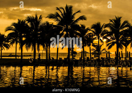 Palmen Silhouetten auf tropischen Strand im Sommer Stockfoto
