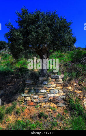 Erkunden Sie die Natur der Heilige Berg Athos in Griechenland Stockfoto