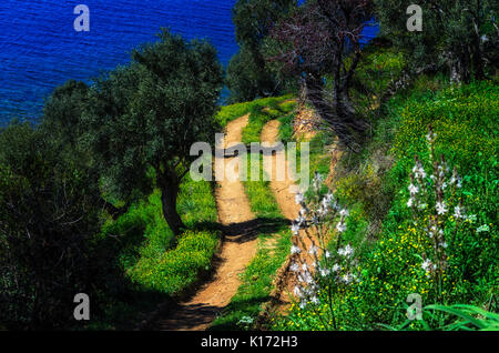 Erkunden Sie die Natur der Heilige Berg Athos in Griechenland Stockfoto