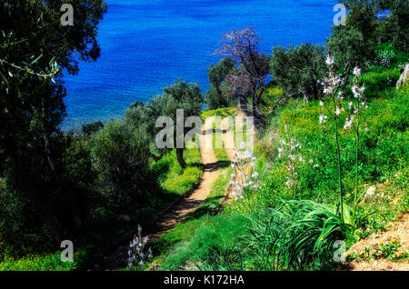 Erkunden Sie die Natur der Heilige Berg Athos in Griechenland Stockfoto