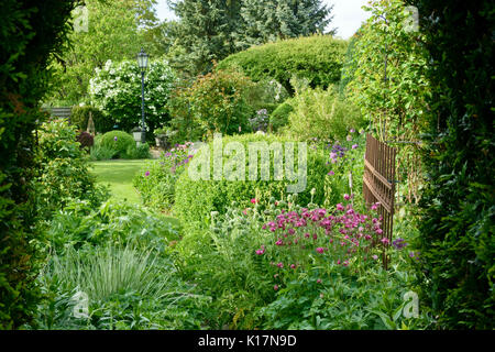 Columbines (Aquilegia) und boxwoods (buxus) in einem beständigen Garten. Design: Marianne und Detlef lüdke Stockfoto