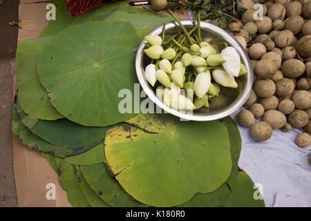 Hyderabad, Indien - August 25,2017 close-up aus Holz apple, Lotus Blatt und Lotus Buds auf einem Marktplatz auf Ganesh Chaturthi Festival in Hyderabad Stockfoto