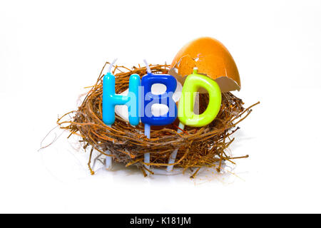 Isolierte zerbrochene Eierschale auf einem Nest mit Kerze Alphabete für Happy Birthday Konzept Stockfoto