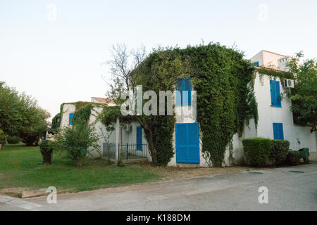 Fassade des Haus mit weißen Wänden und blauen Fensterläden bedeckt mit grünem Efeu. Stockfoto